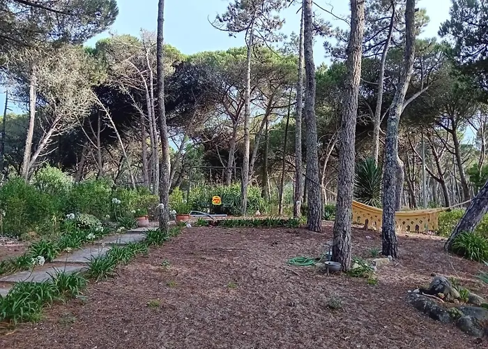 Casa Da Ancora Ferienhaus Colares