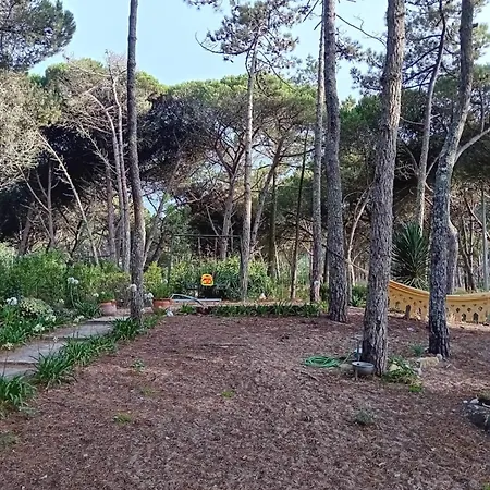 Casa Da Ancora Ferienhaus Colares